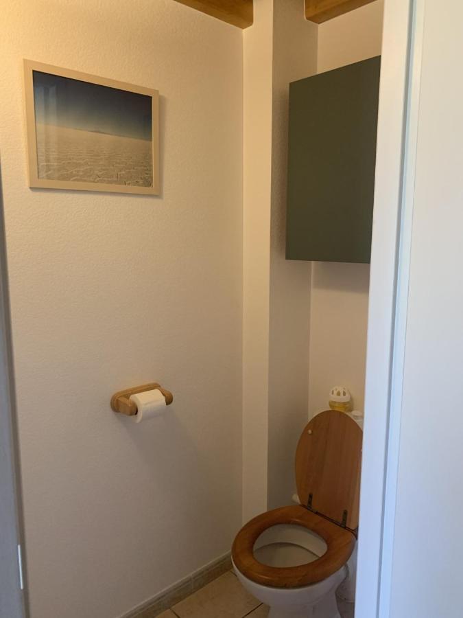 Appartement Dans Chalet Avec Jardin, Vue Montagne Aucun Bagian luar foto